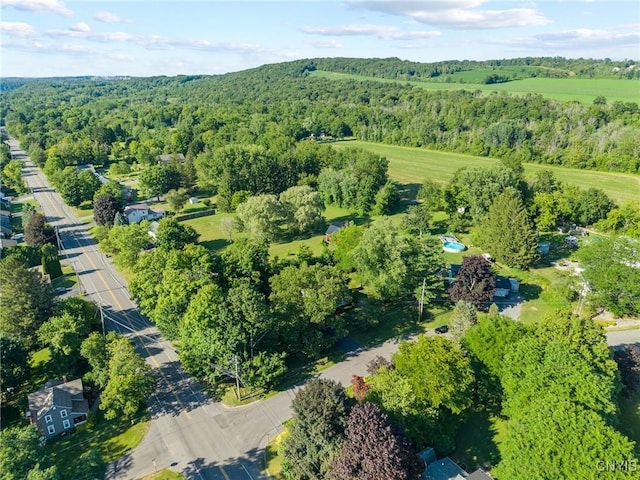 2551 Dublin Ct, Marcellus, NY 13108 - photo 46