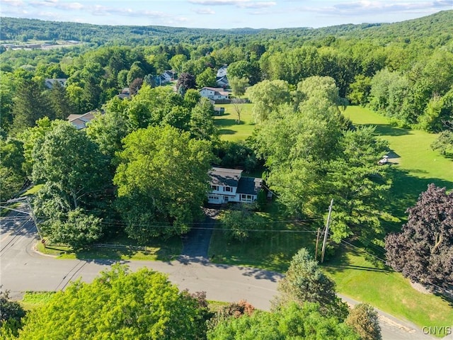 2551 Dublin Ct, Marcellus, NY 13108 - photo 42