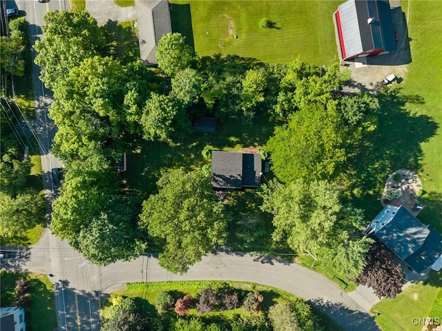 2551 Dublin Ct, Marcellus, NY 13108 - photo 6