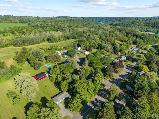 2551 Dublin Ct, Marcellus, NY 13108 - photo 47