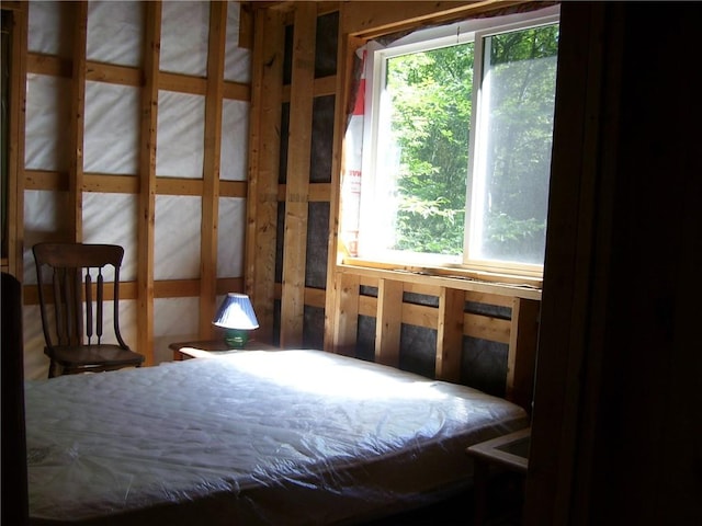 0 Balsam Tyler Rd, Mc Donough, NY 13801 - photo 6