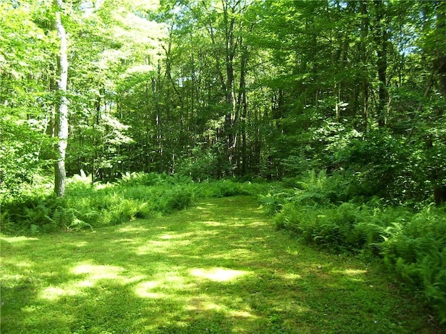 0 Balsam Tyler Rd, Mc Donough, NY 13801 - photo 10