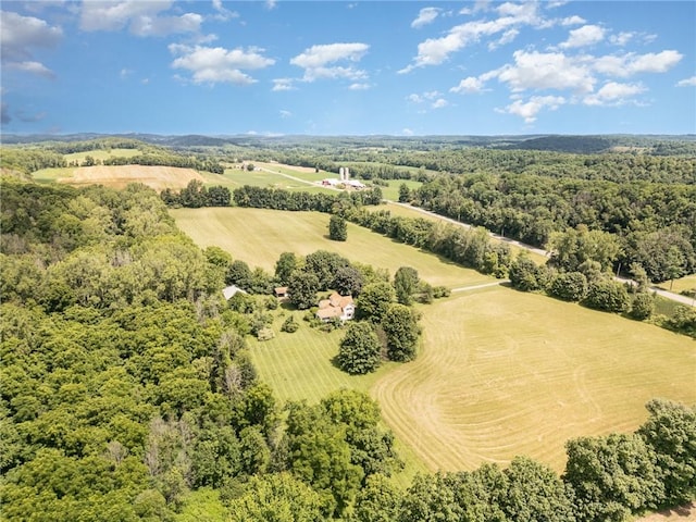1737 Arcadia Zurich Norris Rd, Arcadia, NY 14513 - photo 6
