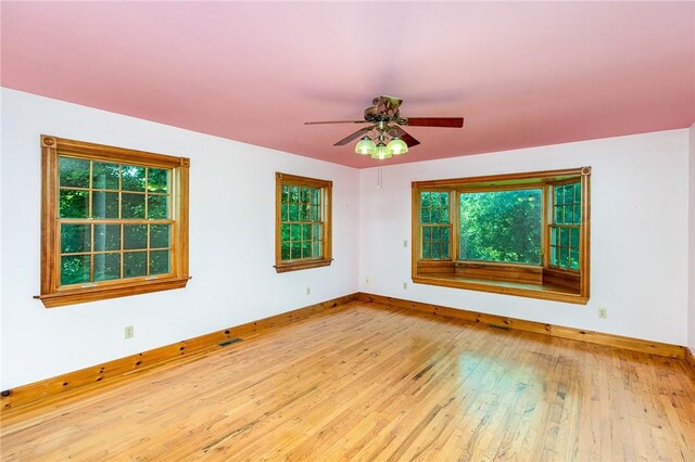 1737 Arcadia Zurich Norris Rd, Arcadia, NY 14513 - photo 19
