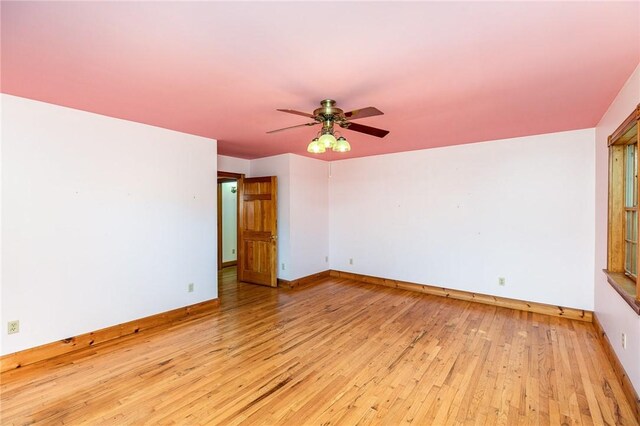 1737 Arcadia Zurich Norris Rd, Arcadia, NY 14513 - photo 20