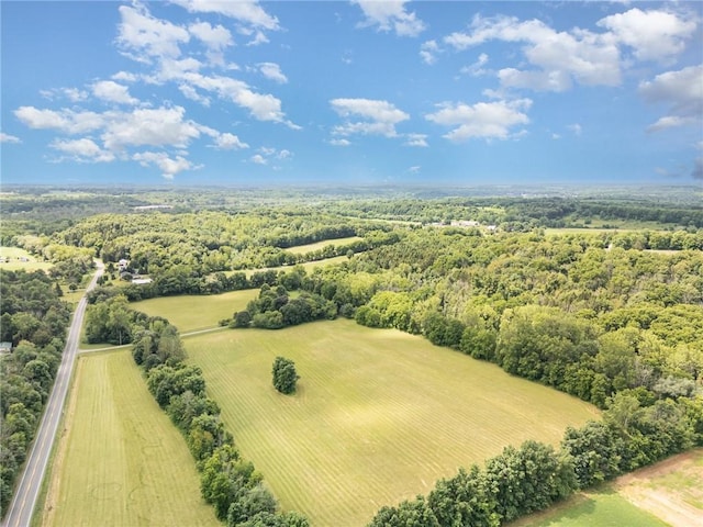 1737 Arcadia Zurich Norris Rd, Arcadia, NY 14513 - photo 50