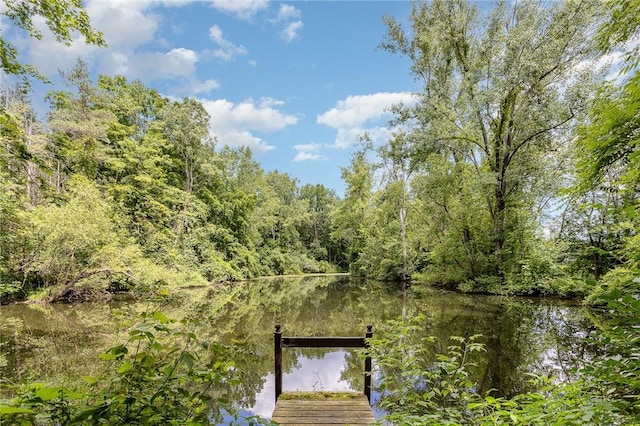 1737 Arcadia Zurich Norris Rd, Arcadia, NY 14513 - photo 44