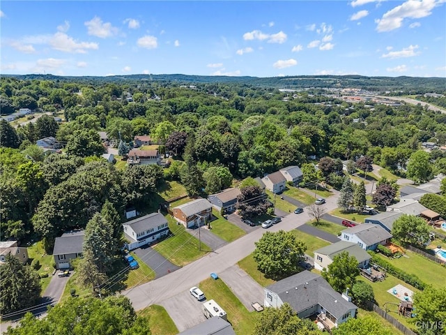 209 Patterson Ave, Camillus, NY 13219 - photo 38