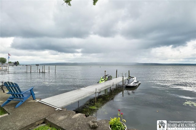 2372 Lakeside Dr, Busti, NY 14710 - photo 2