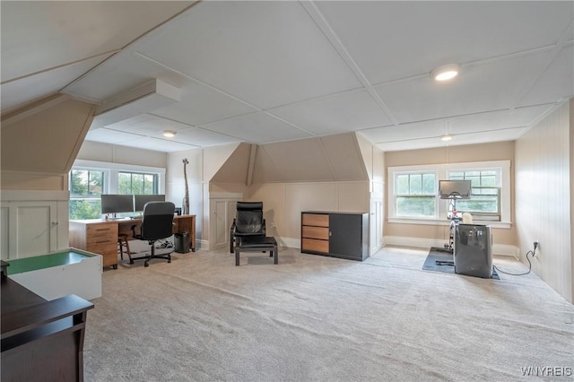 36 University Ave, Buffalo, NY 14214 - photo 44