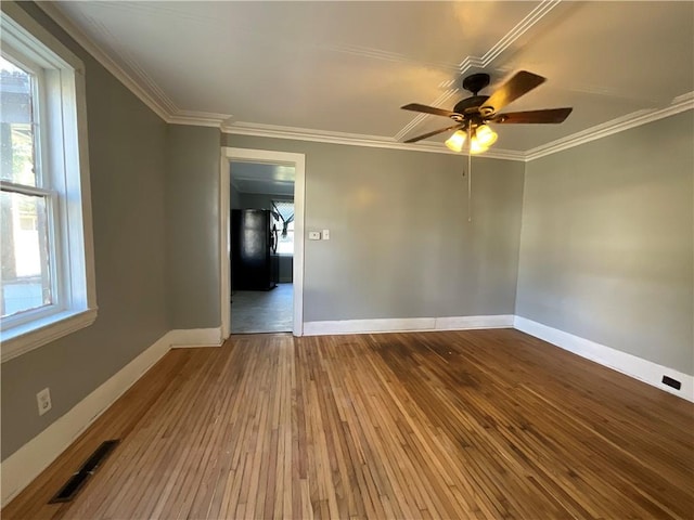 12 Fremont St, Wayland, NY 14572 - photo 19