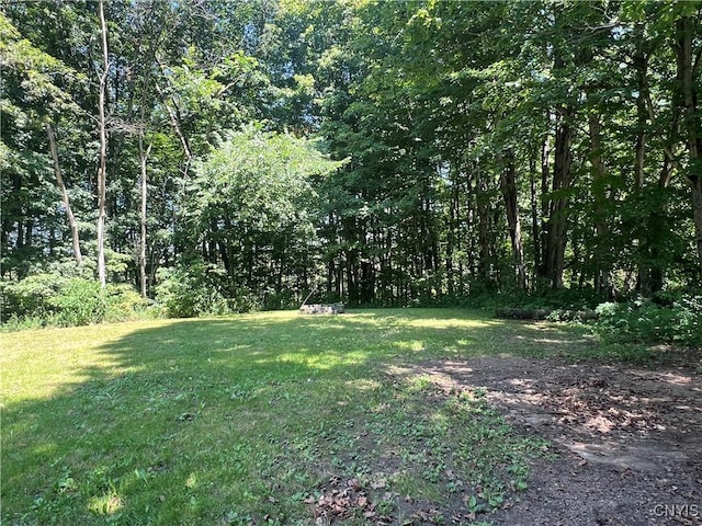 178 Green Rd, New Haven, NY 13114 - photo 9