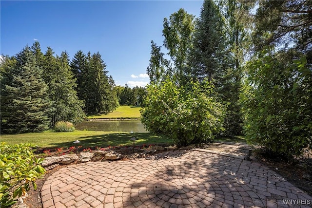 85 Galileo Dr, Amherst, NY 14221 - photo 43