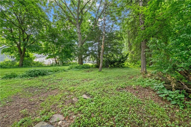 631 Smith St, Rochester, NY 14606 - photo 17