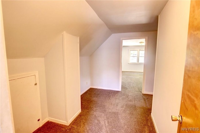 5390 Bayview Rd, Hamburg, NY 14075 - photo 17