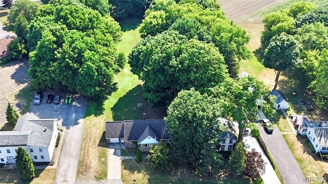 5390 Bayview Rd, Hamburg, NY 14075 - photo 28