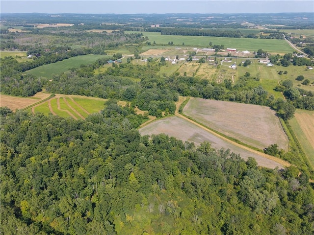 Stone Hill Rd, Livonia, NY 14487 - photo 7