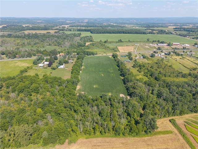 Stone Hill Rd, Livonia, NY 14487 - photo 10