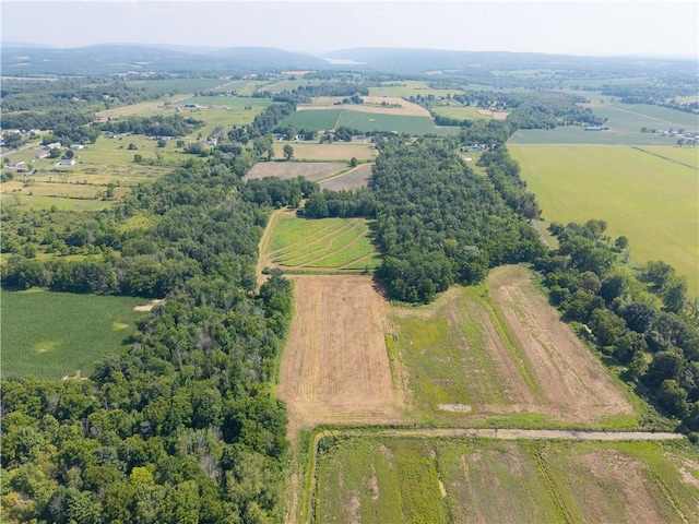 Stone Hill Rd, Livonia, NY 14487 - photo 12