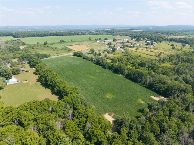 Stone Hill Rd, Livonia, NY 14487 - photo 13