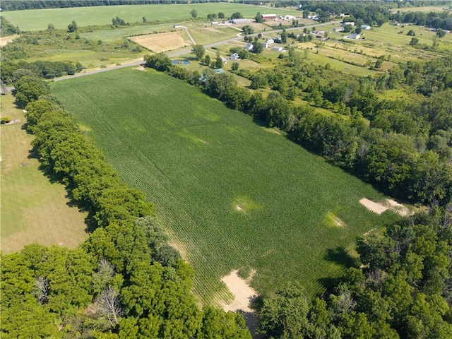 Stone Hill Rd, Livonia, NY 14487 - photo 14