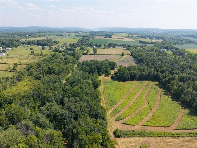 Stone Hill Rd, Livonia, NY 14487 - photo 15