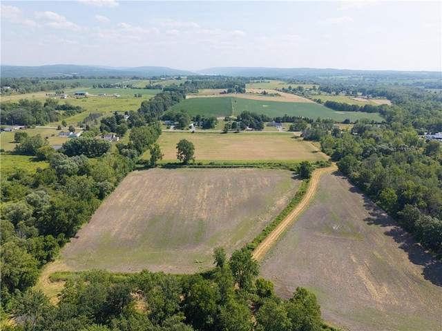 Stone Hill Rd, Livonia, NY 14487 - photo 17