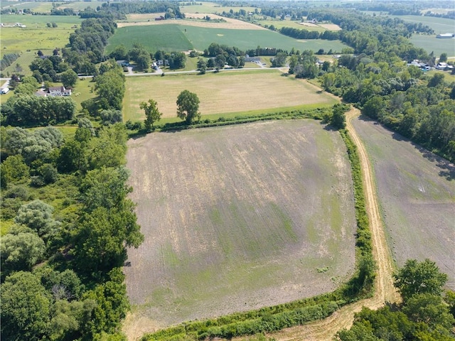 Stone Hill Rd, Livonia, NY 14487 - photo 18