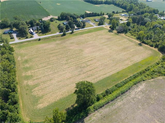 Stone Hill Rd, Livonia, NY 14487 - photo 19
