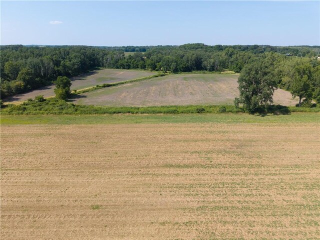 Stone Hill Rd, Livonia, NY 14487 - photo 20