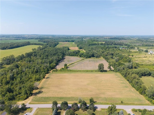 Stone Hill Rd, Livonia, NY 14487 - photo 1