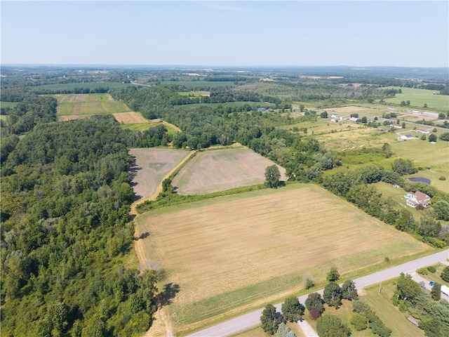 Stone Hill Rd, Livonia, NY 14487 - photo 2