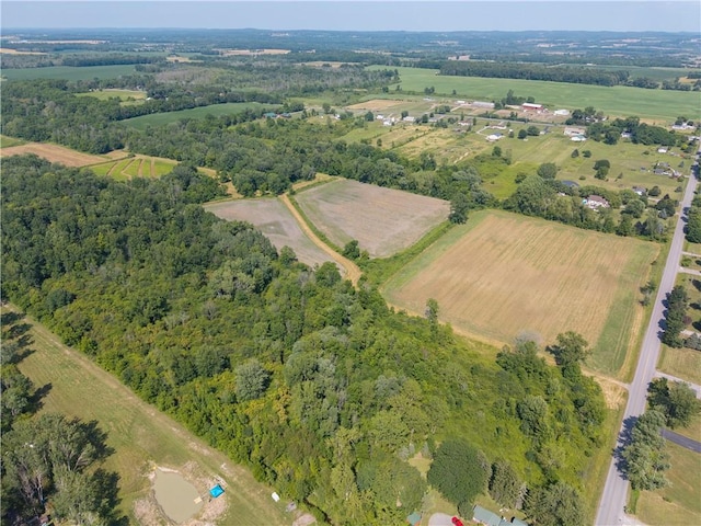 Stone Hill Rd, Livonia, NY 14487 - photo 5