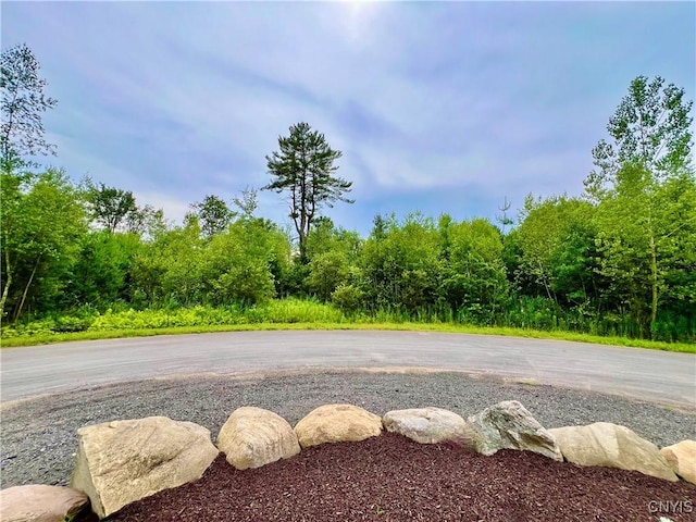 LOT10 Forest Ridge Dr, Rome, NY 13440 - photo 1