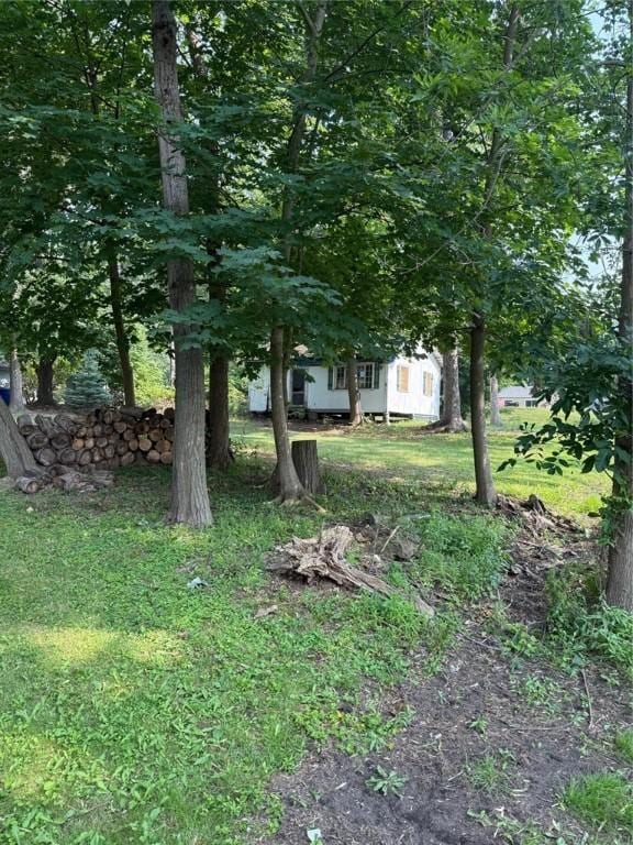 913 Vinecliff St, Carlton, NY 14571 - photo 7