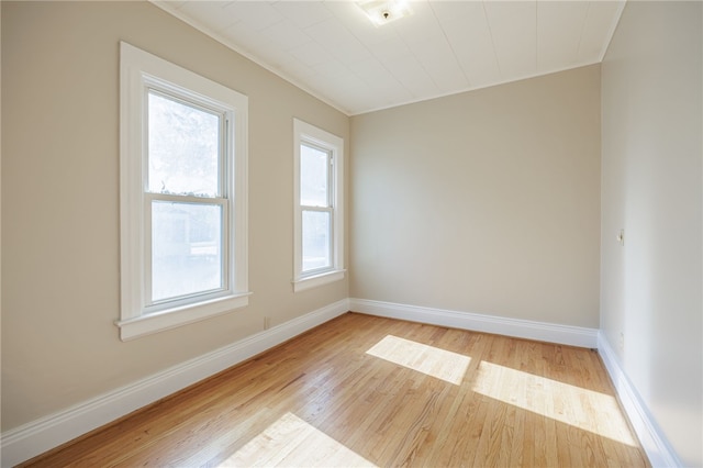 52 Warren St, Rochester, NY 14620 - photo 15