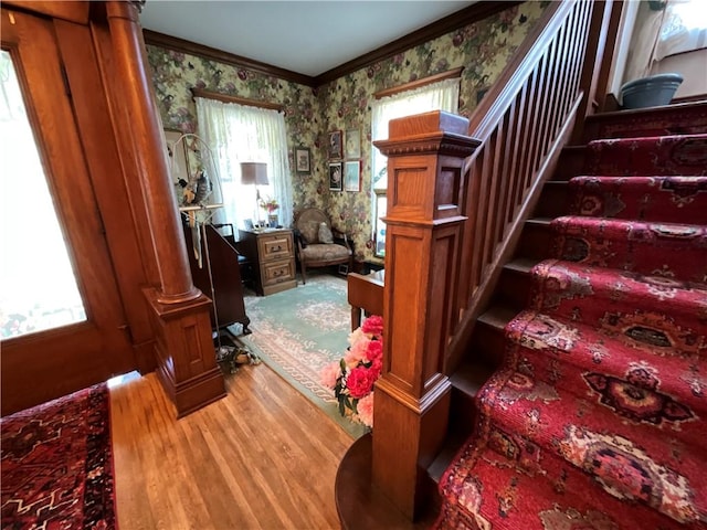 413 Catherine St, Ridgeway, NY 14103 - photo 6