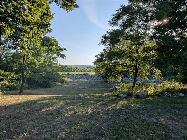 8527 Brookview Dr, Richmond, NY 14471 - photo 27