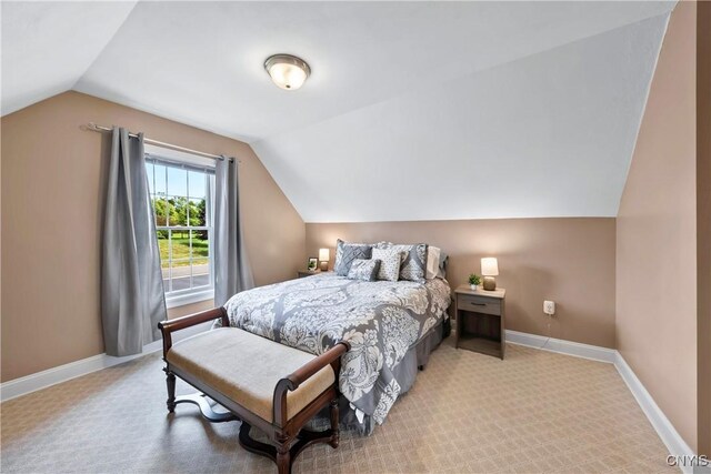 3981 Aquinnah Hts, Marcellus, NY 13108 - photo 36