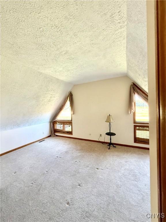 9125 Caughdenoy Rd, Clay, NY 13029 - photo 28