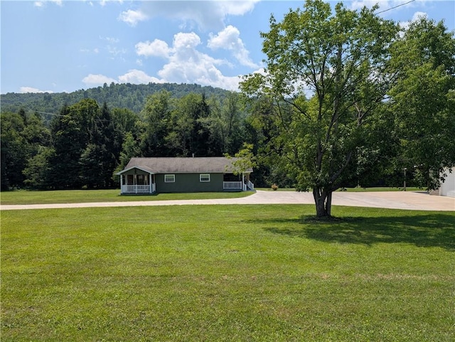 1410 Moody Holw, Eldred, PA 16731 - photo 4