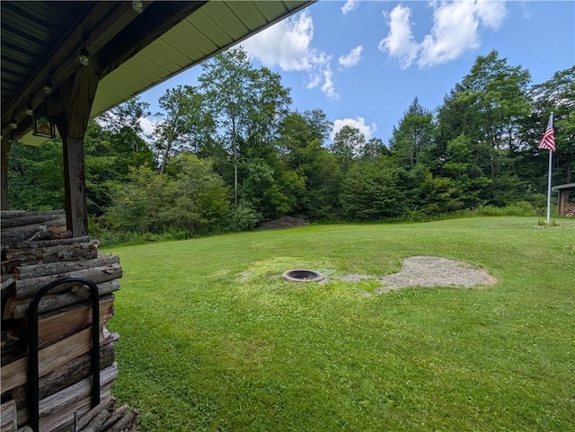 1410 Moody Holw, Eldred, PA 16731 - photo 31