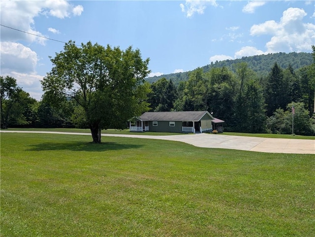 1410 Moody Holw, Eldred, PA 16731 - photo 37