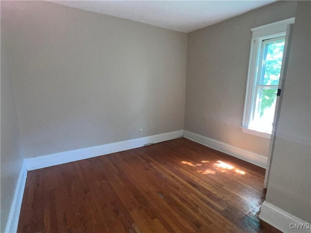 619 Stolp Ave Unit 21, Syracuse, NY 13207 - photo 19