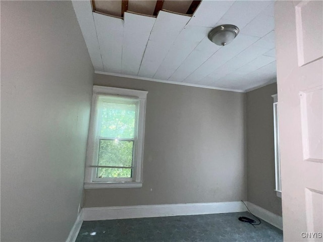 619 Stolp Ave Unit 21, Syracuse, NY 13207 - photo 21