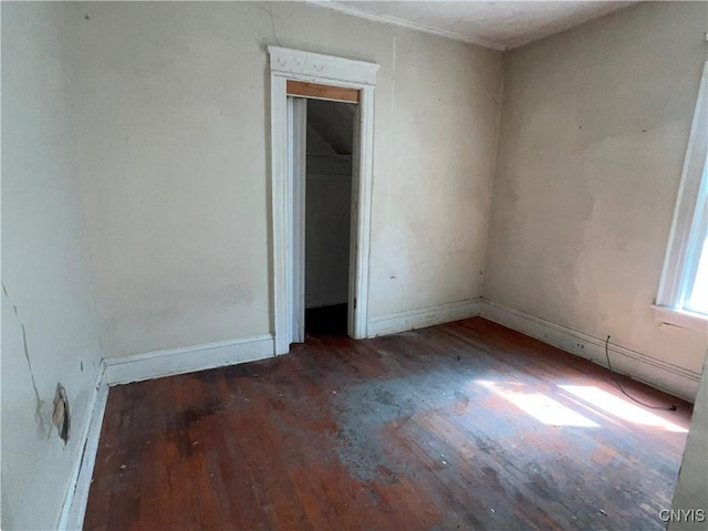 619 Stolp Ave Unit 21, Syracuse, NY 13207 - photo 11