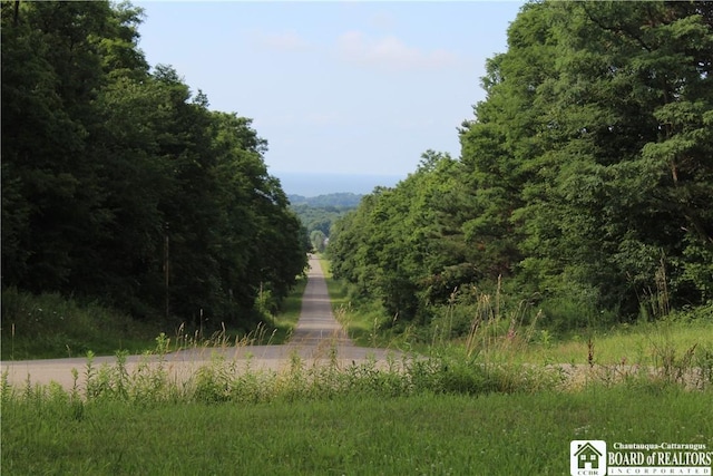6501 Woleben Rd, Portland, NY 14769 - photo 43