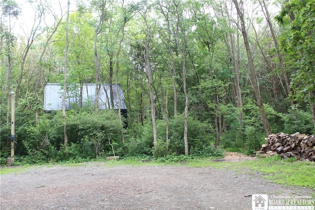 6501 Woleben Rd, Portland, NY 14769 - photo 41