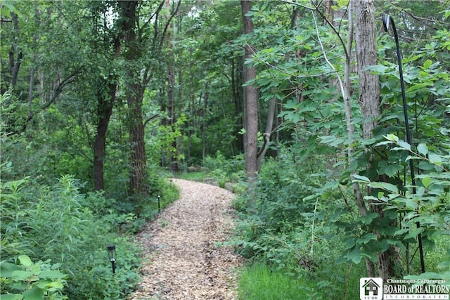6501 Woleben Rd, Portland, NY 14769 - photo 40