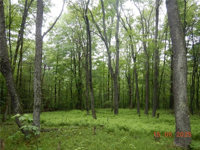 77 Warren, Meredith, NY 13753 - photo 7